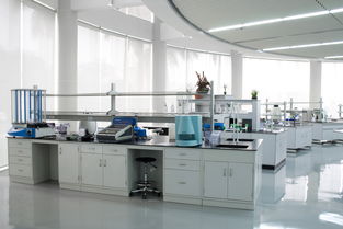 第二届生物创新药临床前研究与临床申报峰会 聚焦细胞技术研发与应用