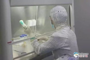 深圳人体细胞科技展览馆 细胞技术研发与应用的前沿探索