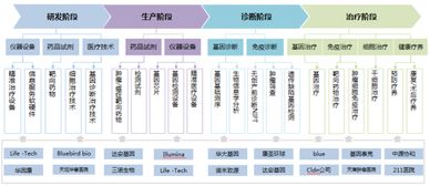 精准医疗产业的发展逻辑 细胞技术研发与应用的核心驱动力