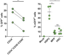 CRISPR技术在镰刀型细胞贫血症中的应用研究与发展前景