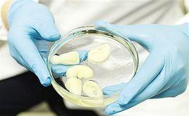 清华孙伟团队 3D生物打印技术如何让“打印”人体器官成为可能？