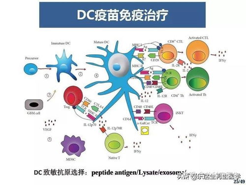 癌细胞第一次彻底全面曝露 细胞技术研发与应用开启新纪元