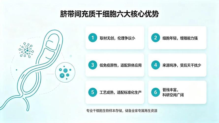 一文看懂:脐带间充质干细胞,凭什么成为临床研究与新药研发的首选?