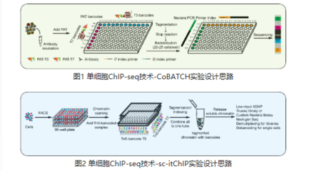 我国科学家实现单细胞表观组学新突破