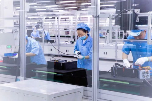 武汉黄陂 打造科技创新应用承载区，推动细胞技术研发与应用成果孵化